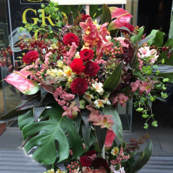 歌舞伎町に贈るお祝いスタンド花　グロリアンス
