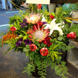渋谷のクラブに贈る花 アレンジメント アマゾネス