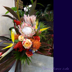 美容室に贈る開店祝いの花　アレンジメント プロテアクイーン 二子玉川の花屋　ネイティブフラワーイーダ