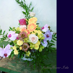 美容室に贈る開店祝いの花　アレンジメント　オレンジガーベラと胡蝶蘭