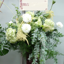 渋谷区に贈るお祝いスタンド花　グリーンフラッシュ