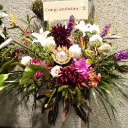 渋谷のクラブに贈る 華やかさと色で勝負 スタンド花・ワイルドフラワーズ