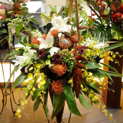 楽屋見舞いのスタンド花　二子玉川の花屋　ネイティブフラワーイーダにお任せ下さい。