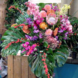 美容室開店祝いスタンド花　二子玉川の花屋ネイティブフラワーイーダ