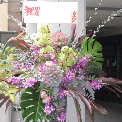 千代田区に贈るスタンド花  シンビジューム