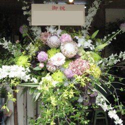 歌舞伎町に贈るお祝いスタンド花 グリーンスター