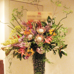 赤坂に贈るお祝いスタンド花　フラミンゴ