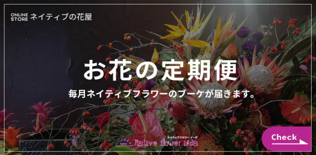 気軽なお花贈りはネイティブの花屋　二子玉川の花屋