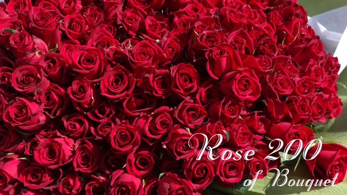 赤バラ200本花束　お祝い　記念日花束