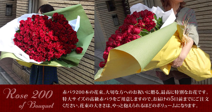赤バラ２００本 花束 ｜二子玉川の花屋 ネイティブフラワーイーダ