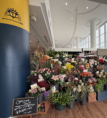 ネイティブフラワーイーダ　新浦安の花屋