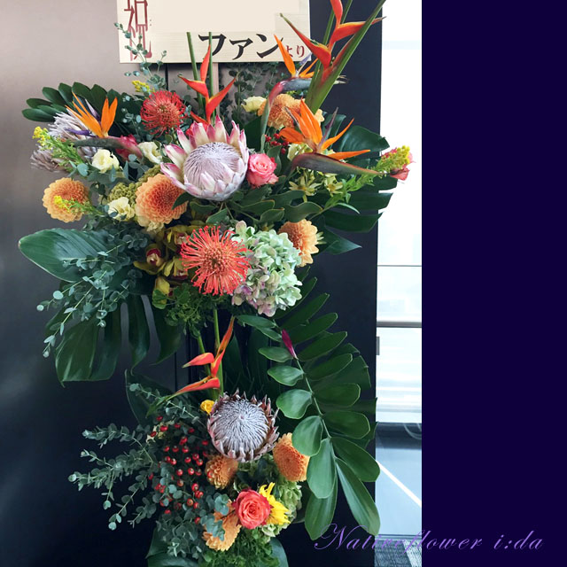 東京に贈るお祝い花　アレンジメント ヘリコニアロケット　二子玉川の花屋　ネイティブフラワーイーダ 