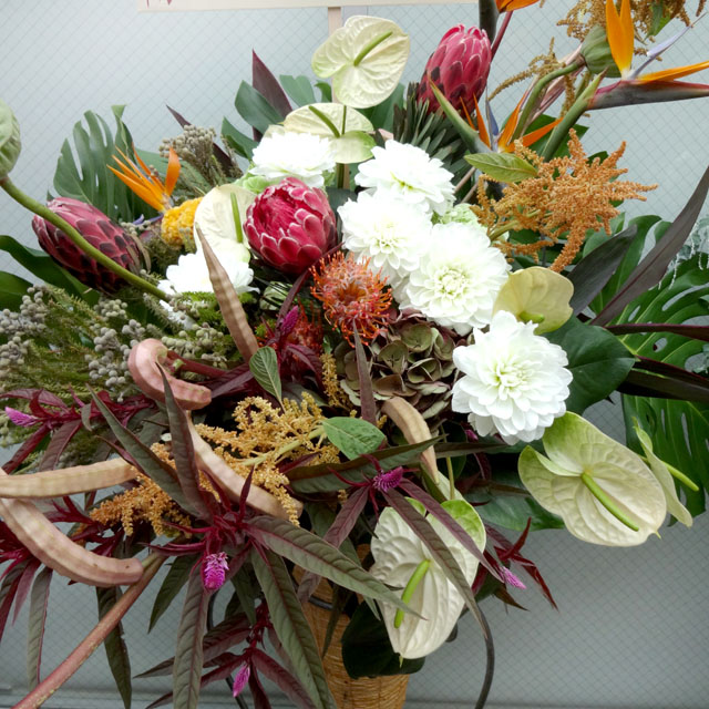 開店祝いスタンド花　お祝いスタンド花 オリジン　二子玉川の花屋　ネイティブフラワーイーダ 