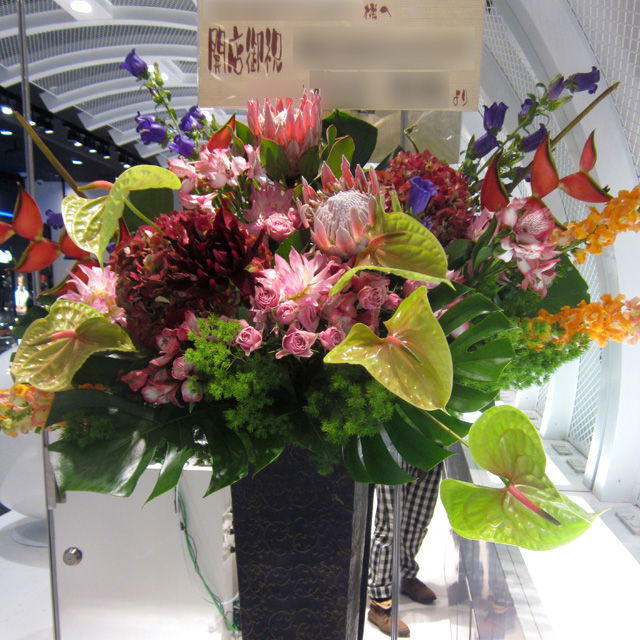 開店祝い　花　キングプロテアとビッグアンス　スタンド花　東京　二子玉川の花屋　ネイティブフラワーイーダ