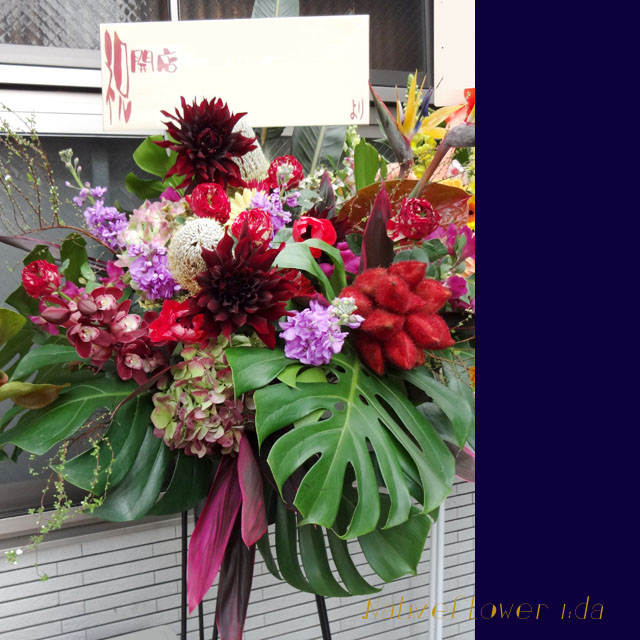 居酒屋開店祝い　スタンド花　レッドムピラ　東京　二子玉川の花屋　ネイティブフラワーイーダ