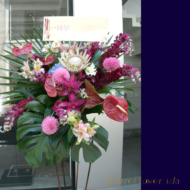 お祝いスタンド花 クリムソン　二子玉川の花屋　ネイティブフラワーイーダ 