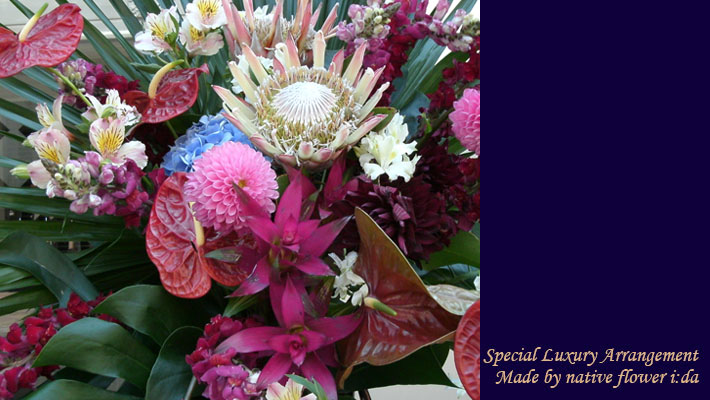 開店1周年祝い　スタンド花　ネイティブフラワー スタンド花　クリムソン