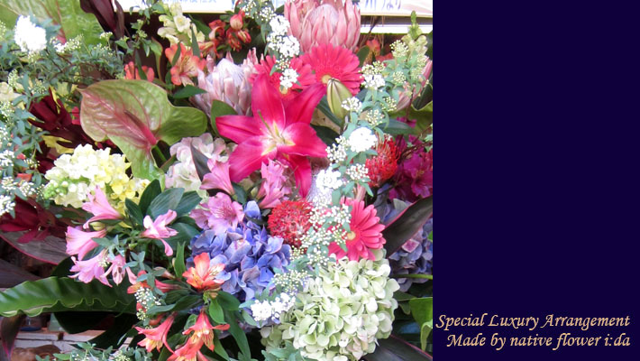 お祝い　スタンド花　公演祝いの花　 ネイティブフラワー スタンド花　ピンクスノー