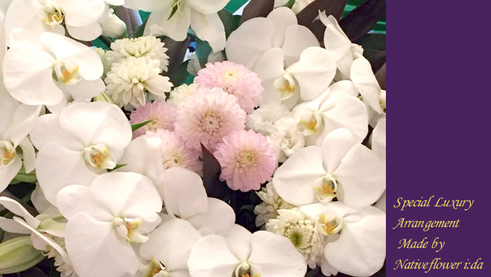 胡蝶蘭スタンド花　公演祝い花　東京　楽屋花　二子玉川の花屋ネイティブフラワーイーダ
