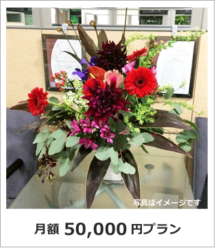 オフィス　店舗　生け込み花　生花アレンジ　レンタルフラワー　東京　50000円プラン