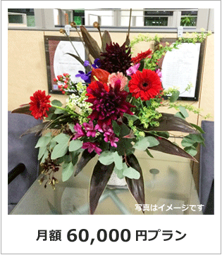 オフィス　店舗　花　生花アレンジ　レンタルフラワー60000円プラン