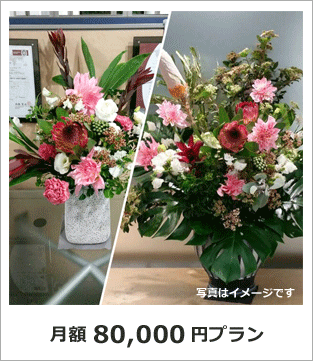 オフィス　店舗　生け込み花　生花アレンジ　レンタルフラワー80000円プラン