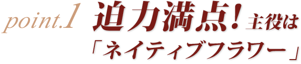 迫力満点　主役はネイティブフラワー　どこよりも目立つお花です